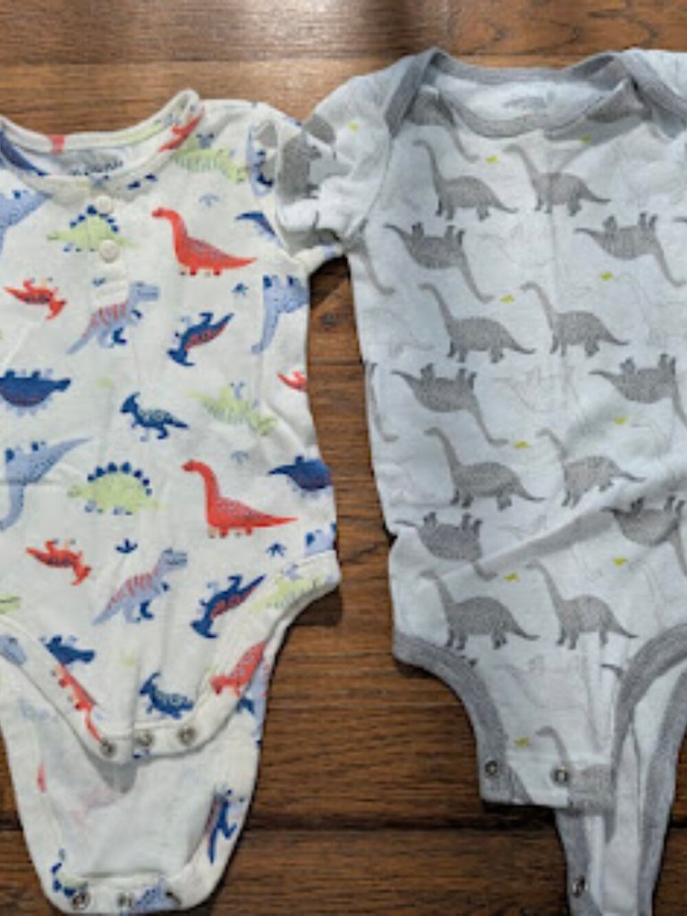 Set of 2 Short Sleeve Dinosaur Onesies 12m